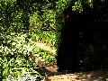 gal/holiday/Yeovil Area 2007 - Tintihull Gardens/_thb_Tintinhull_Gardens_P1010020.jpg